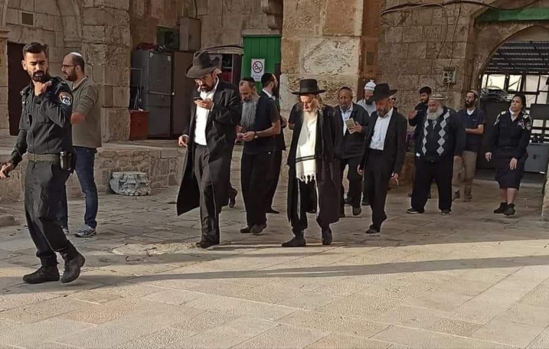 مستوطنون يقتحمون المسجد الإبراهيمي في الخليل ويؤدون طقوسًا تلمودية