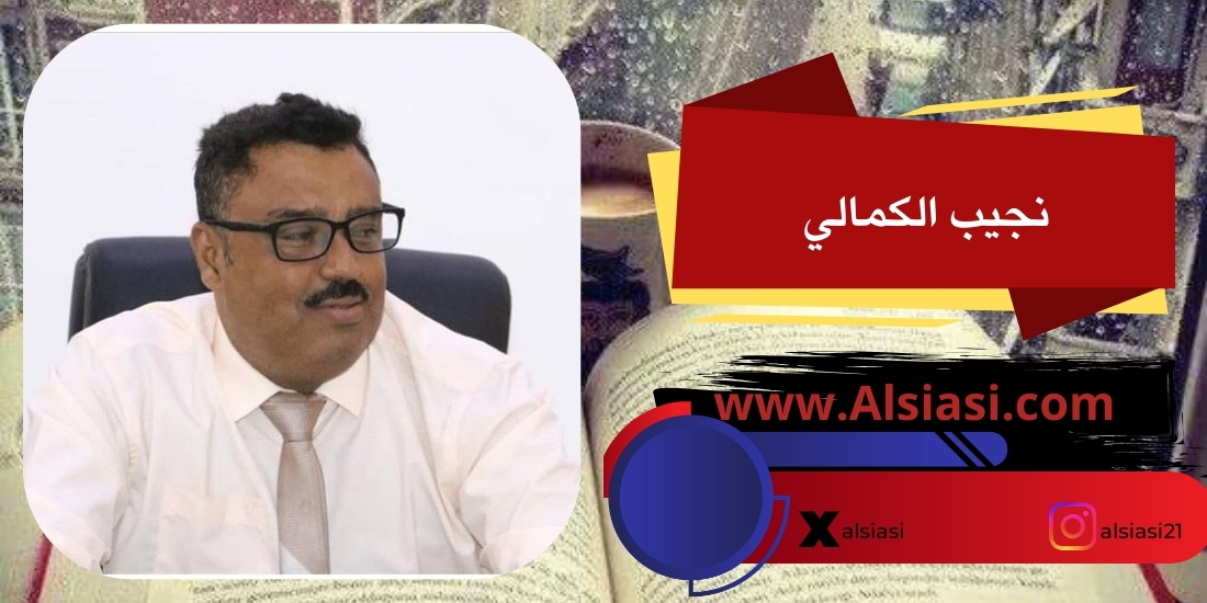 بقلم نجيب الكمالي: عندما يصبح السلاح هو القصة وتنسى بنية الاحتلال
