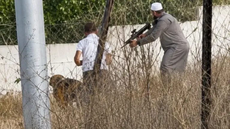 الاحتلال يقتحم بلدة تل تمهيدا لتفجير منزل الشهيد فاروق رمضان