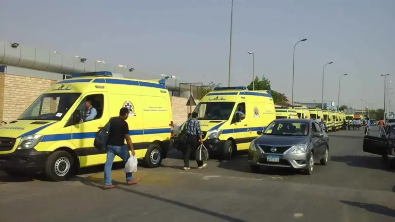 إصابة 14 عاملًا في حادث تصادم مروّع بمصر