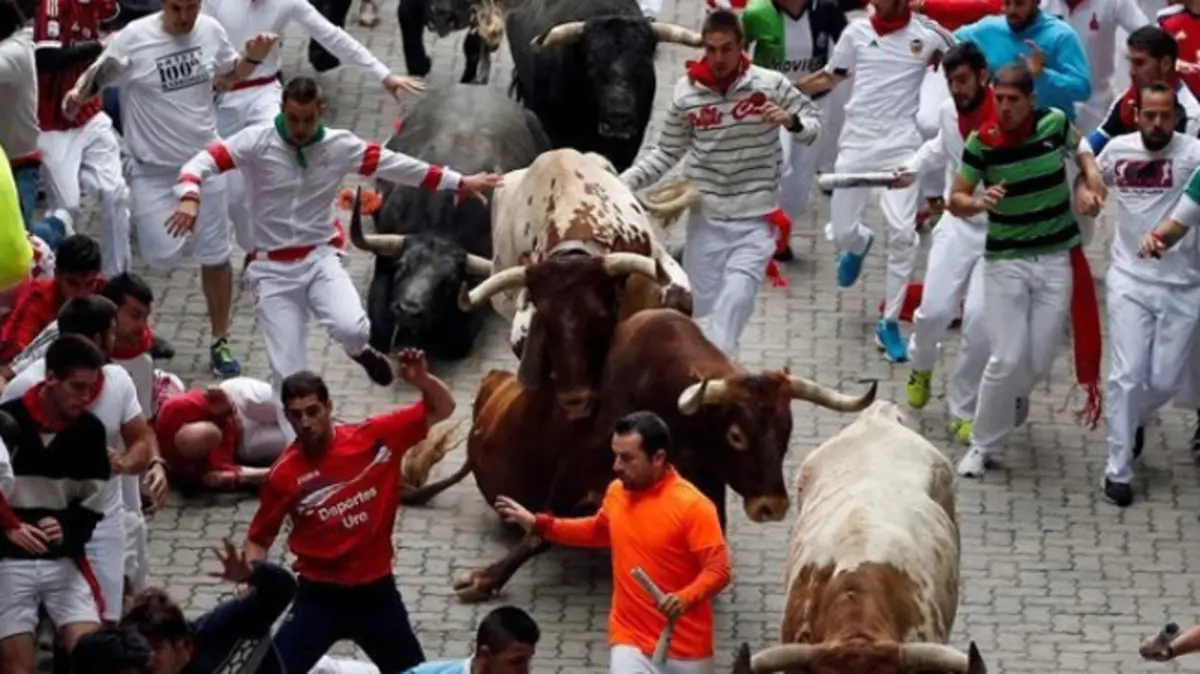 إسبانيا : ثور يطارد امرأة ويقتلها