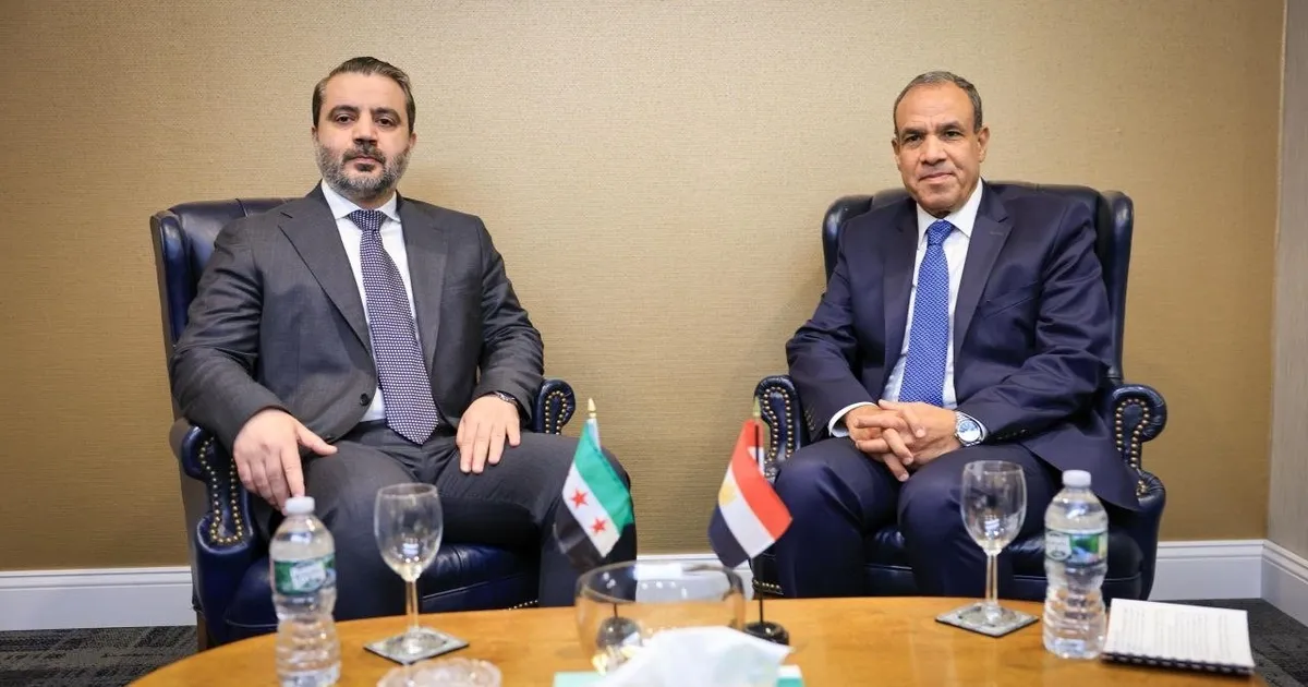لقاء يجمع وزيرا الخارجية المصري والسوري
