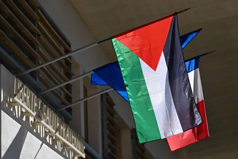 رفع علم فلسطين على مبنى بلدية فينيسيو الفرنسية