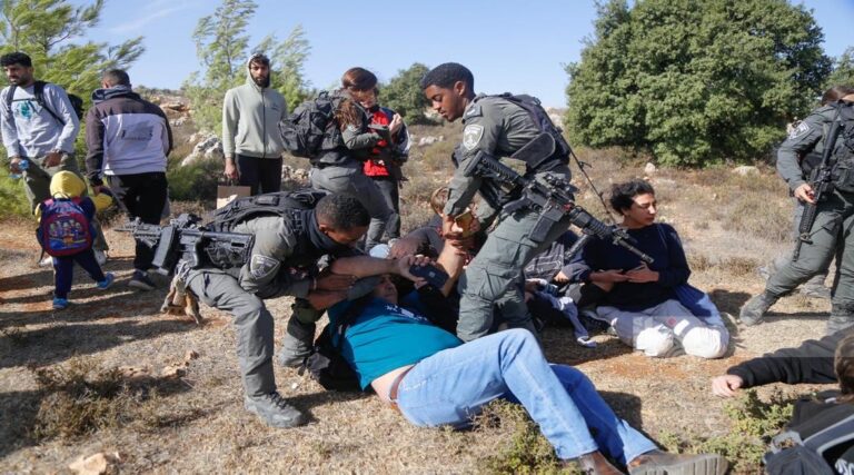إبعاد ناشطين أجانب متضامنين مع قاطفي الزيتون ضمن سياسة حصار الحقول